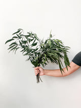 NICO » Preserved Eucalyptus Nicholii Bouquet