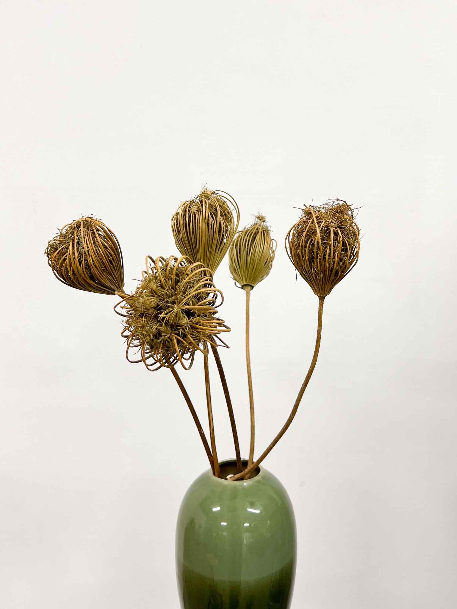 FEDERICO » Natural big Ammi Majus bouquet