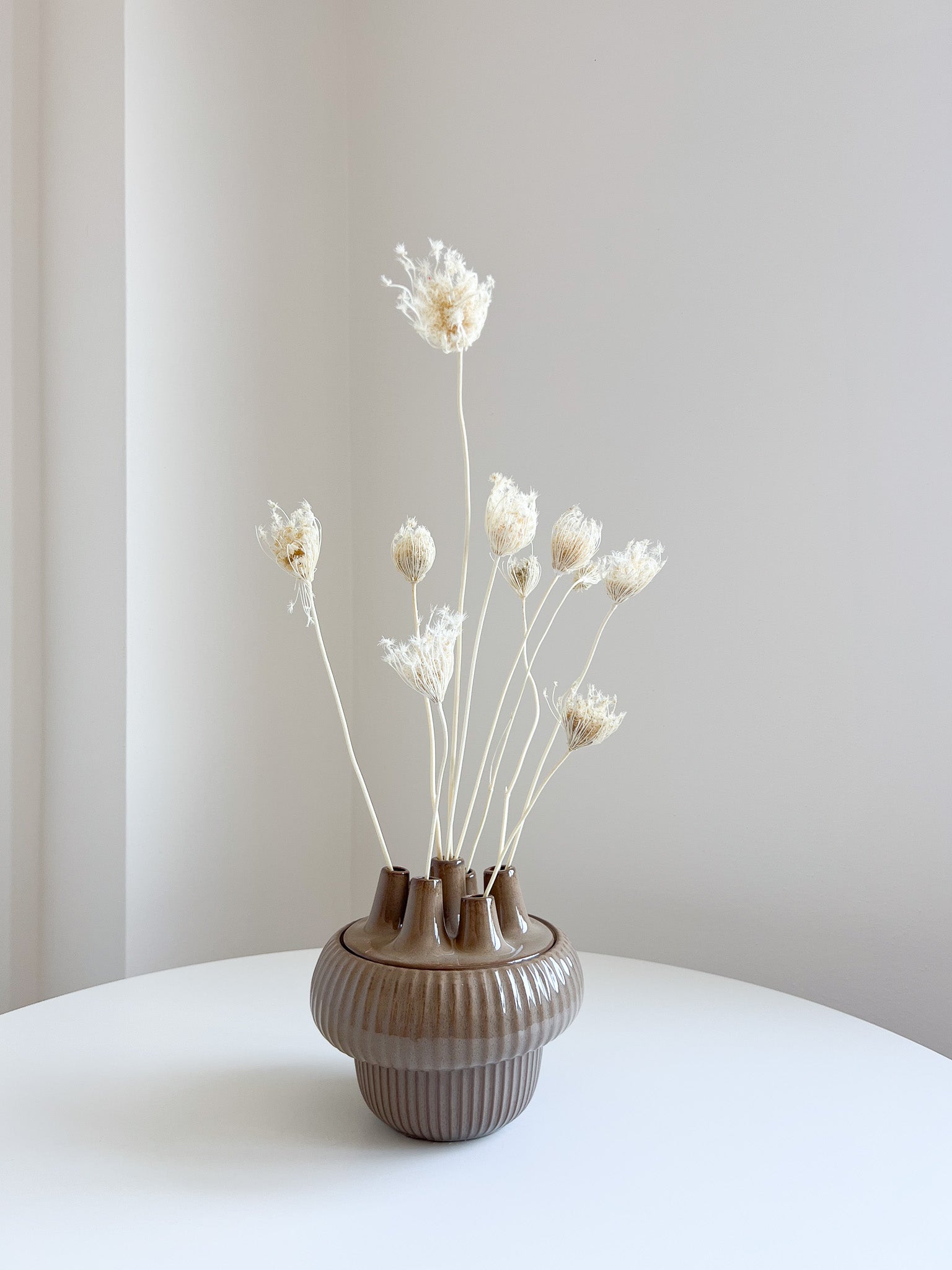 FROZEN » Mazzo di Ammi Majus bianco