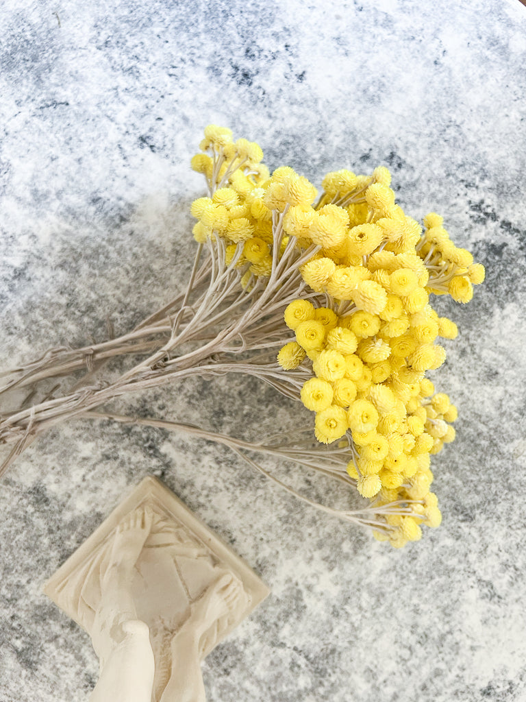 LIDO » Mazzo di Helicrysum Naturale