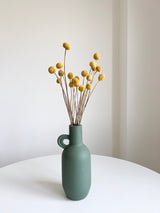 GIORGIO » Mazzo di Craspedia naturale 20 steli