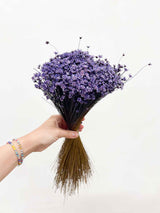 FULVIA » Mazzo di fiori di Glixia viola