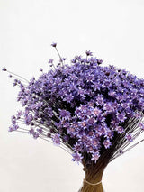 FULVIA » Purple Glixia bouquet