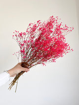 LOLITA » Preserved fuchsia Gypsophila bouquet