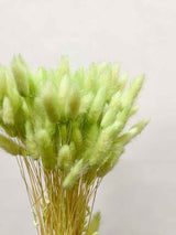 QUIRINO » Pastel green Lagurus bouquet