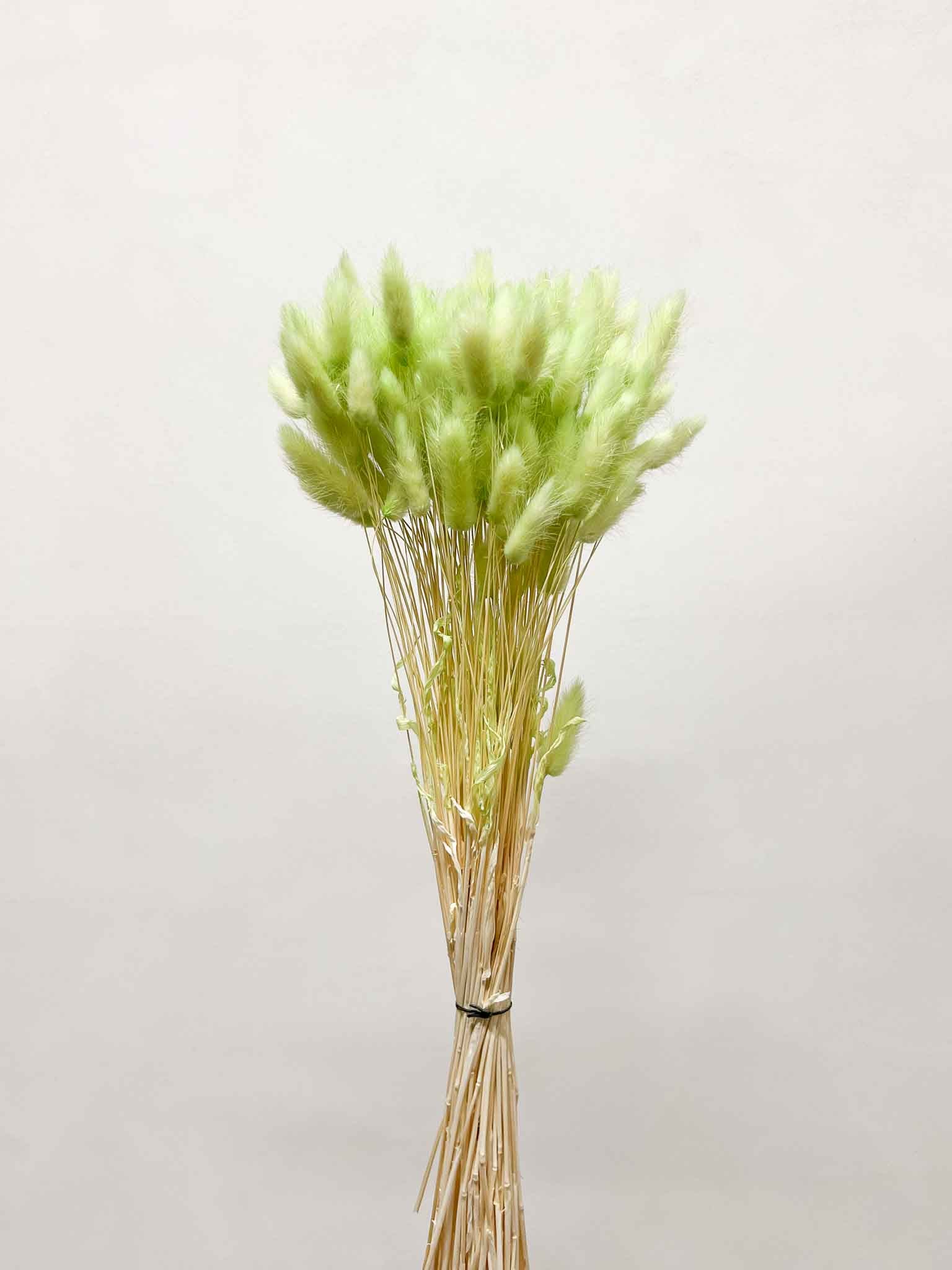 QUIRINO » Pastel green Lagurus bouquet