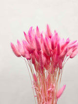 EUDORA » Pastel fuchsia Lagurus bouquet