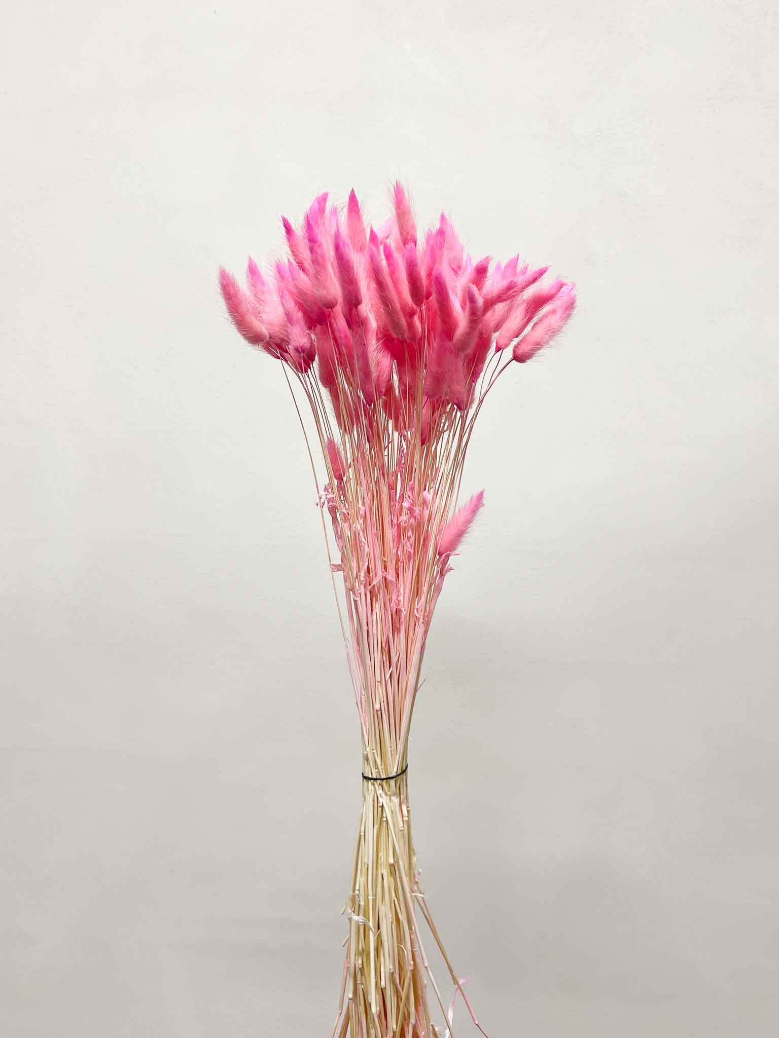 EUDORA » Pastel fuchsia Lagurus bouquet