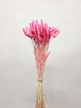EUDORA » Pastel fuchsia Lagurus bouquet