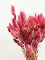 TARA » Pastel dark pink Lagurus bouquet