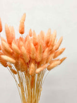 CLEMENTINA » Pastel orange Lagurus bouquet