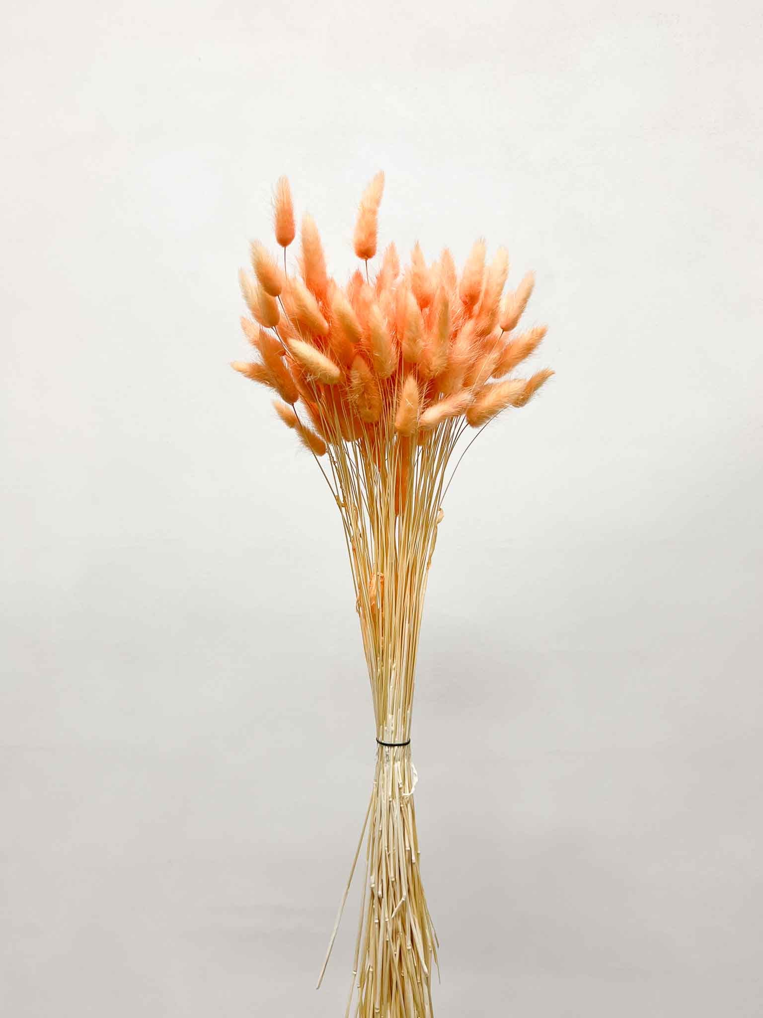 CLEMENTINA » Pastel orange Lagurus bouquet
