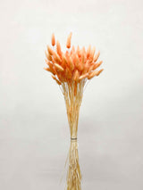 CLEMENTINA » Pastel orange Lagurus bouquet