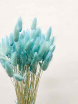 MIRELLA » Pastel light blue Lagurus bouquet