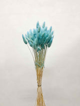 MIRELLA » Pastel light blue Lagurus bouquet