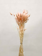 ISADORA » Pastel pink Lagurus bouquet