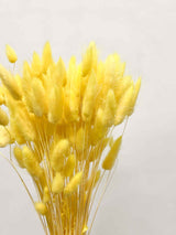 VIVIANA » Pastel yellow Lagurus bouquet