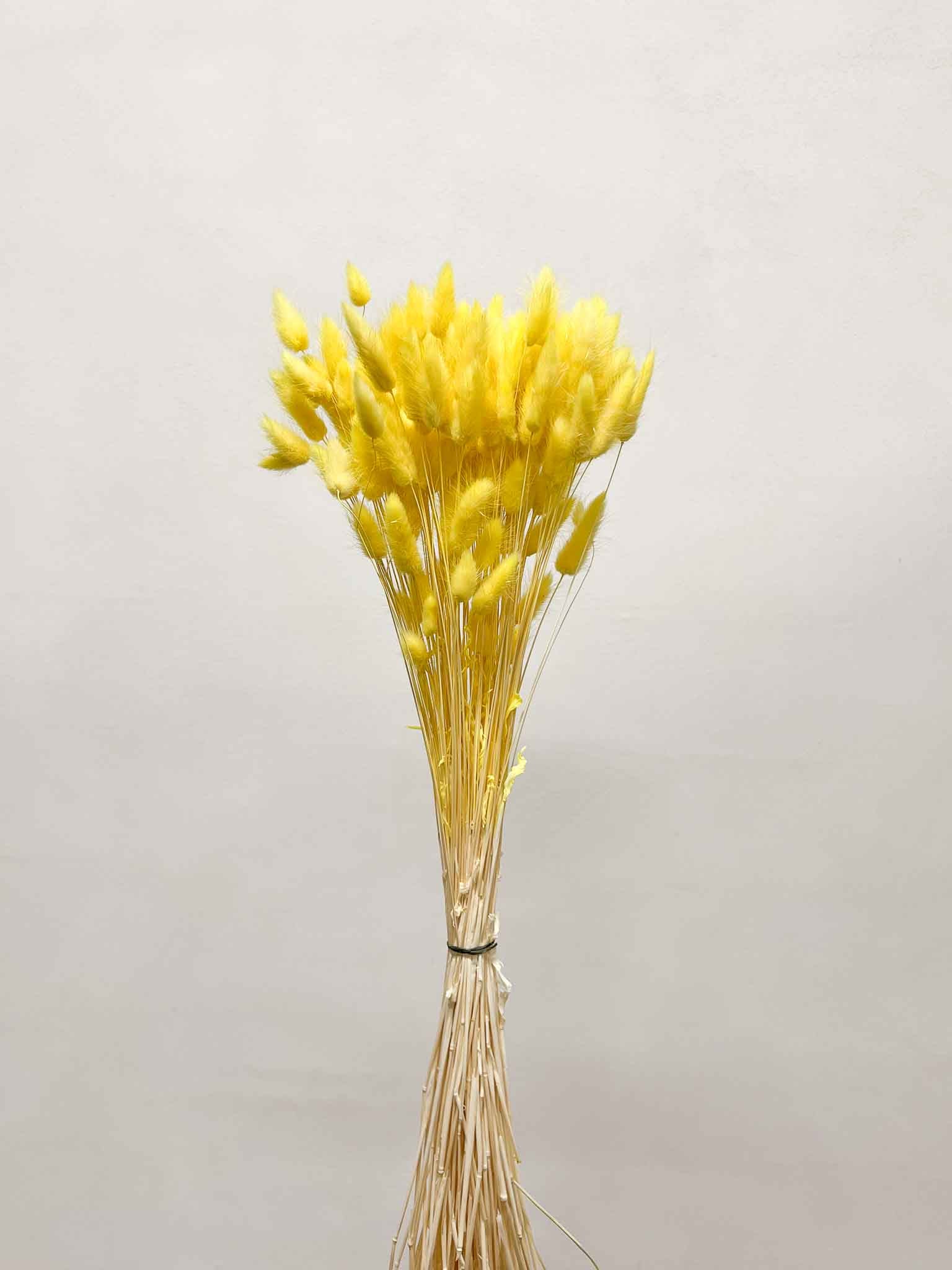 VIVIANA » Pastel yellow Lagurus bouquet