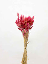 TARA » Pastel dark pink Lagurus bouquet