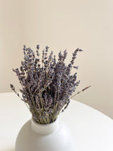 LAURA » Lavanda naturale