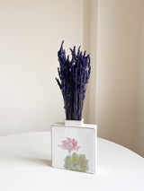 LAURETTA » Lavanda stabilizzata