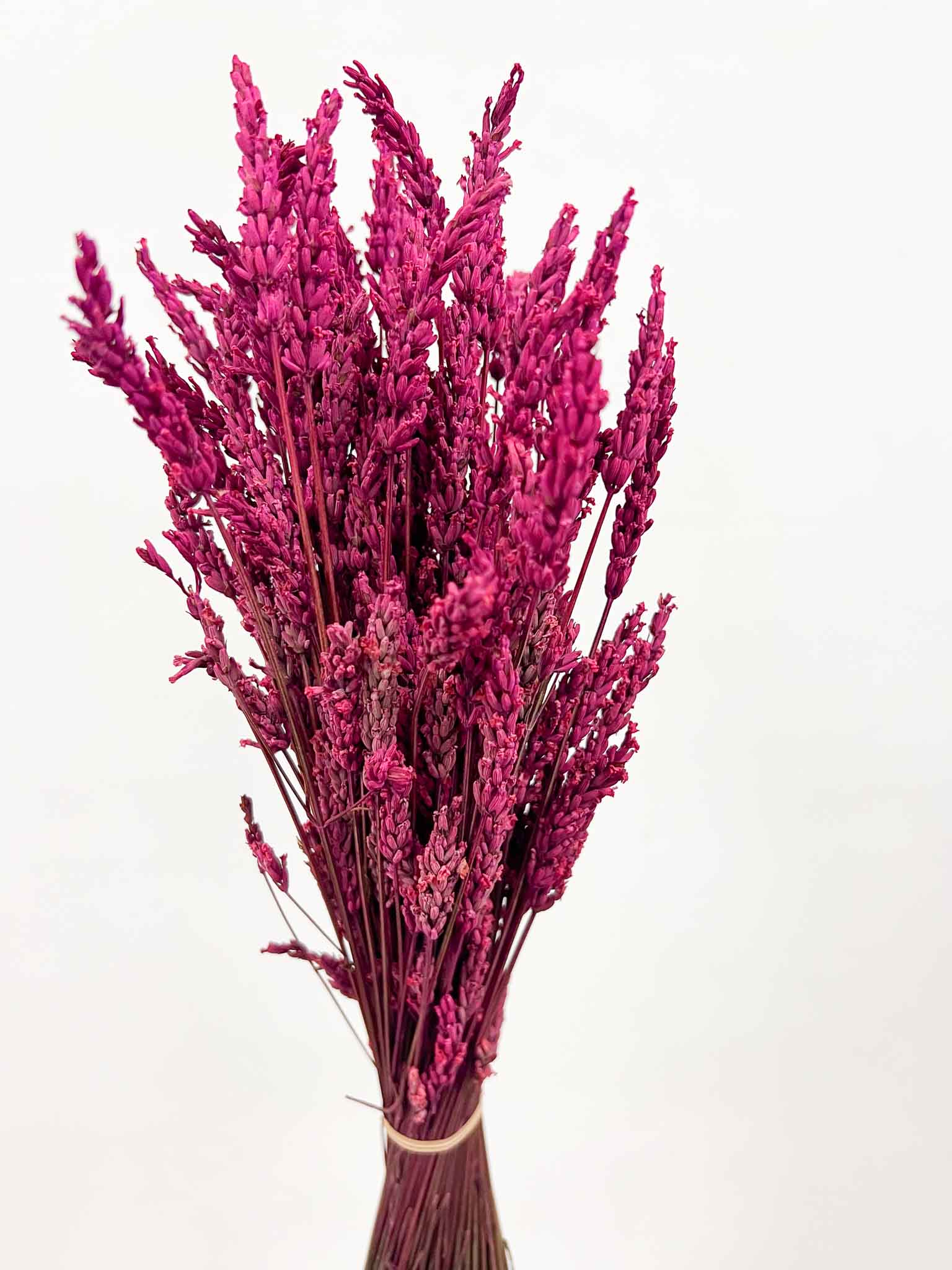 LUCIA » Preserved fuchsia Lavander bouquet