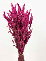 LUCIA » Preserved fuchsia Lavander bouquet
