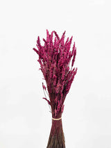 LUCIA » Preserved fuchsia Lavander bouquet