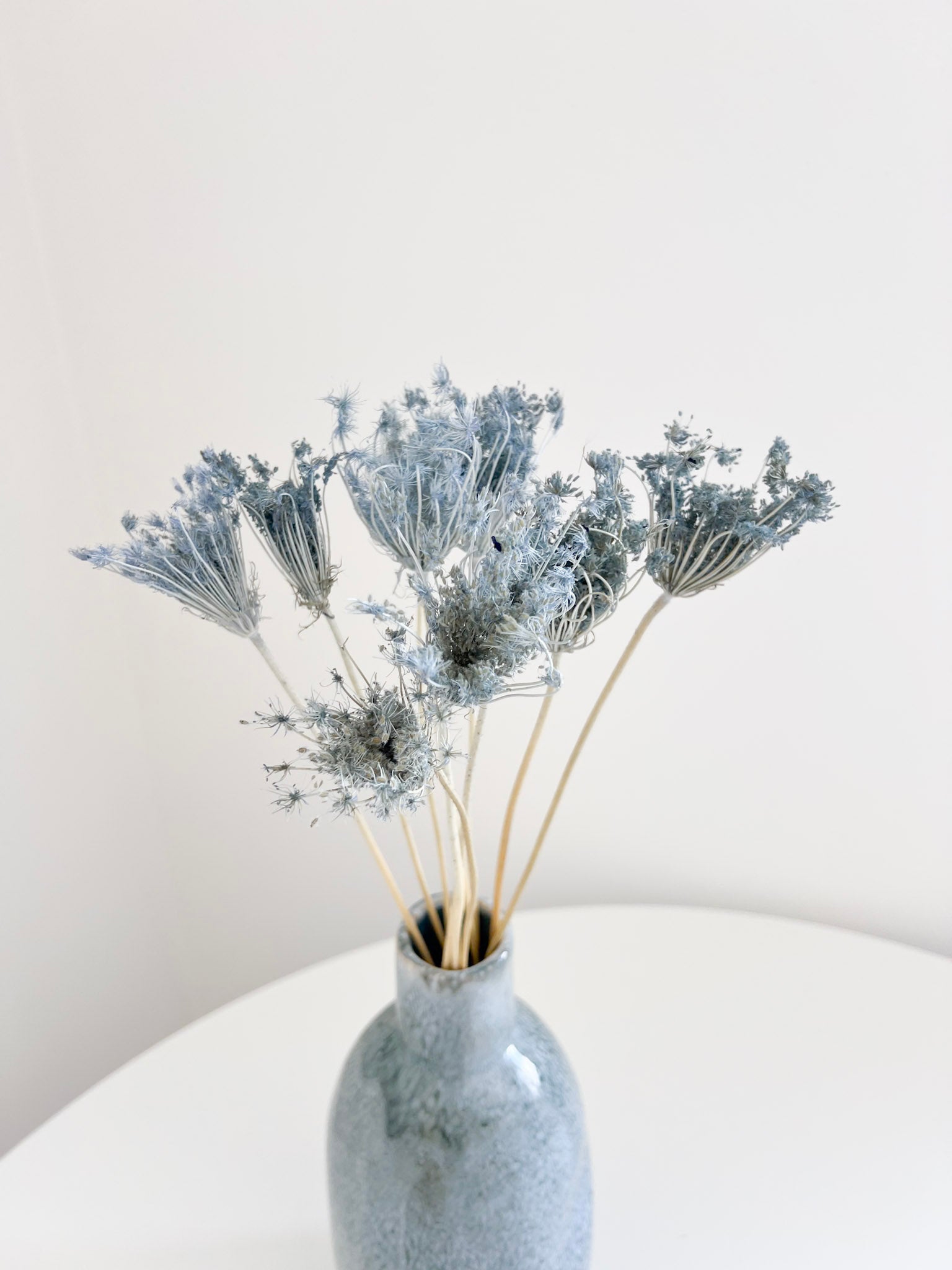 LELLO » Mazzo di Ammi Majus celeste