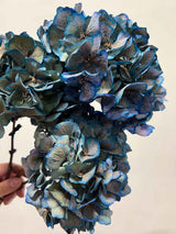 LEONARDA » 3 dried Hydrangeas in blue shades