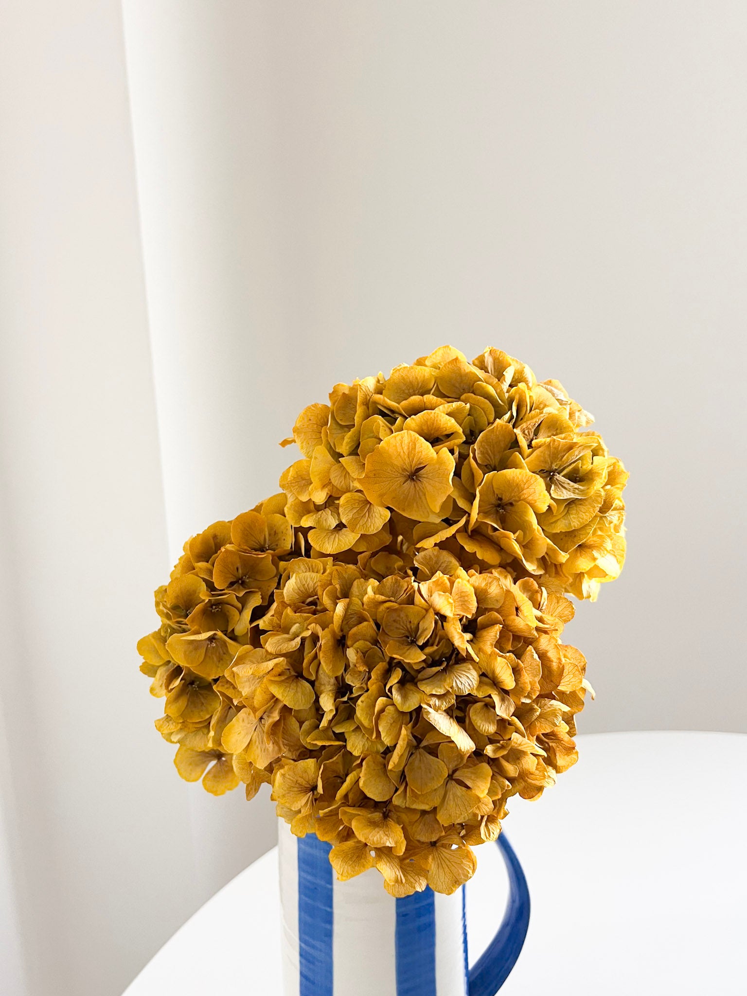 LEONARDA » 3 hortensias séchés aux nuances de jaune