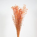 BETTA » Salmon Flax bouquet