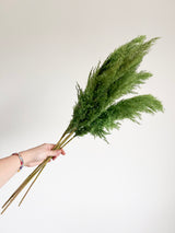 LOLLO » Pampas piccola verde H70cm
