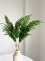 LOLLO » Pampas piccola verde H70cm