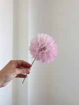 MAGÒ » stelo del Frutto del fiore del Tragopogon o "soffione" lilla chiaro