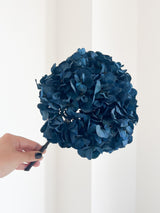 MARCELLA » Preserved blue Hydrangea