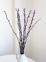 MARINELLA » Mazzo di Salice colorato essiccato milka