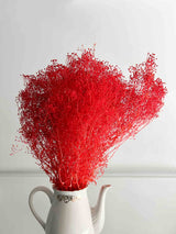 NATALIA » Red preserved Gypsophila bouquet