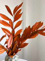 NERISSA » Cocculus stabilizzato arancione H70cm