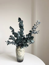 NOARA » Eucalipto Cinerea stabilizzato verde