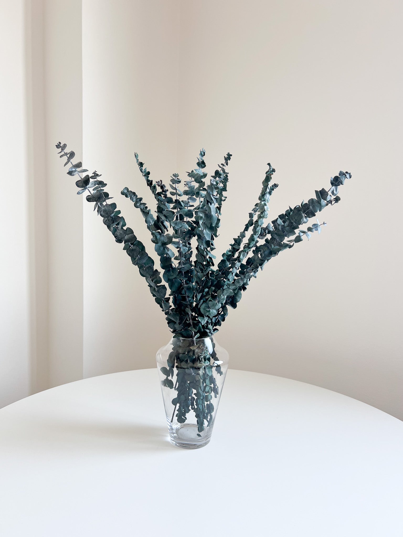 NORMA » Mazzo di Eucalipto Baby Blue verde stabilizzato