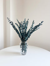 NORMA » Mazzo di Eucalipto Baby Blue verde stabilizzato