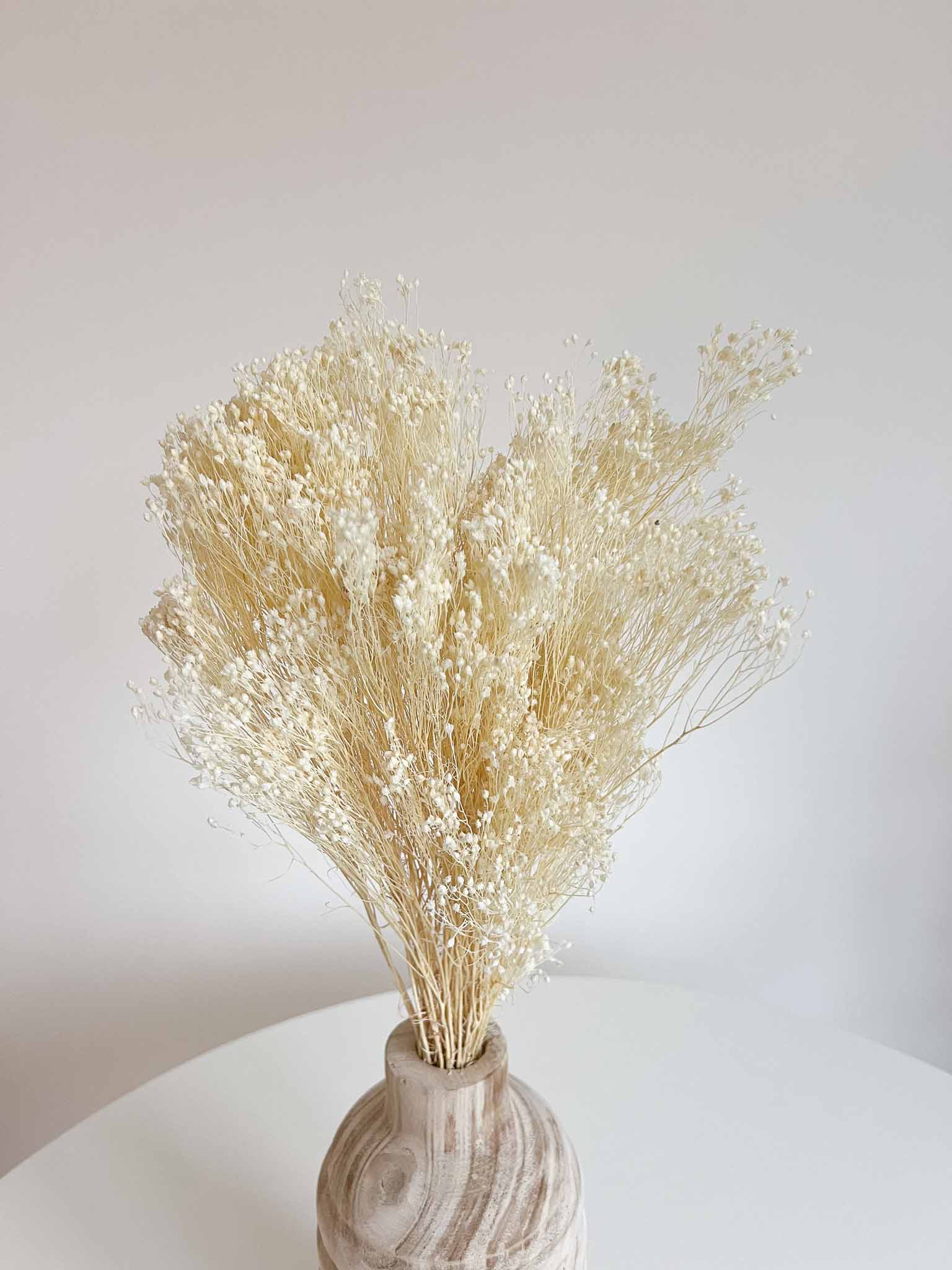 NOVELLA » Mazzo di Broom Bloom bianco