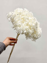 WILSON » Ortensia stabilizzata Annabelle stelo lungo bianco