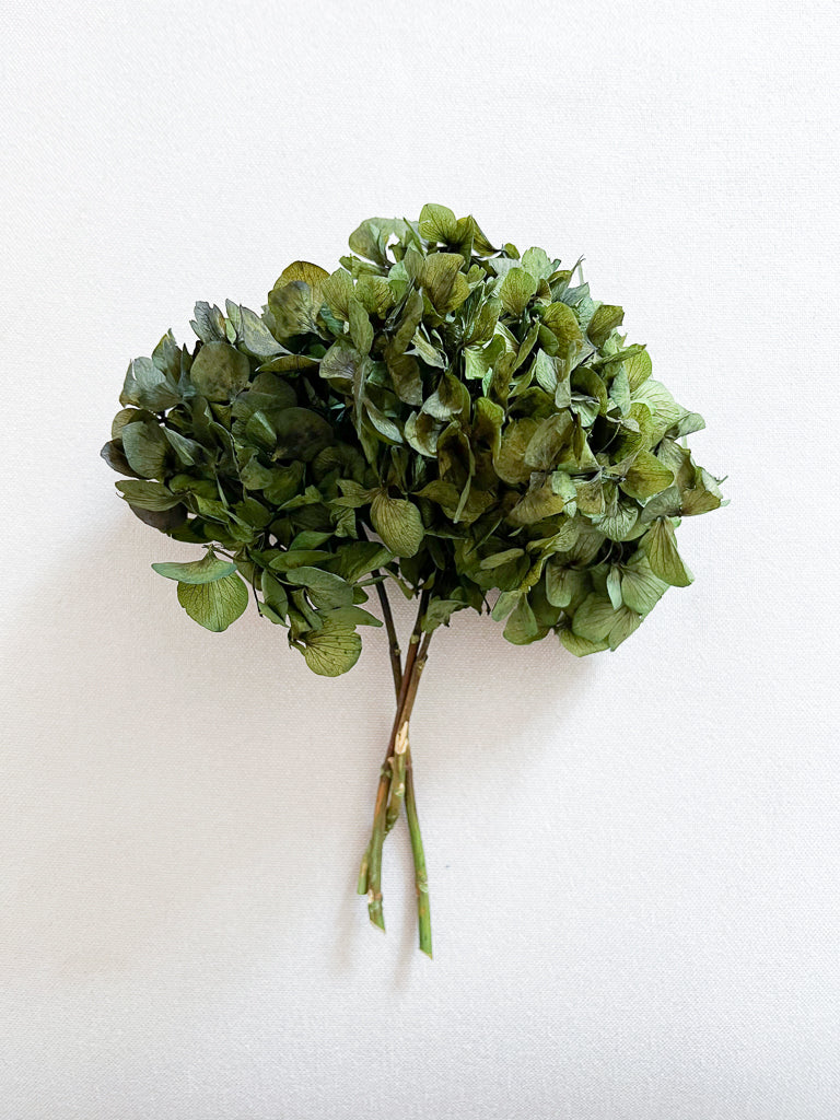 OLIVIA » Preserved Green Hydrangea Bouquet