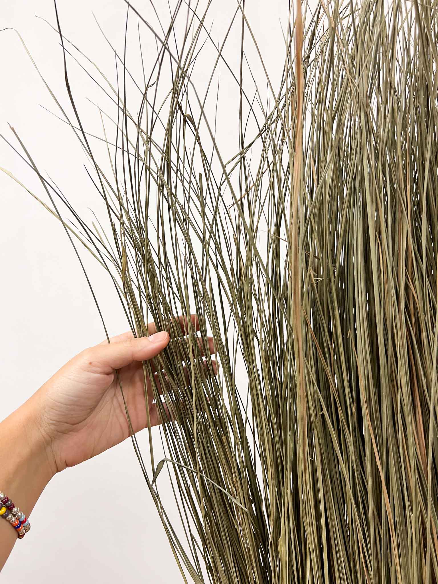 CALLIOPE » Vertical wall of natural dried grass, 100 cm