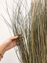 CALLIOPE » Vertical wall of natural dried grass, 100 cm