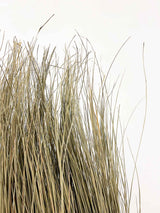 CALLIOPE » Vertical wall of natural dried grass, 100 cm