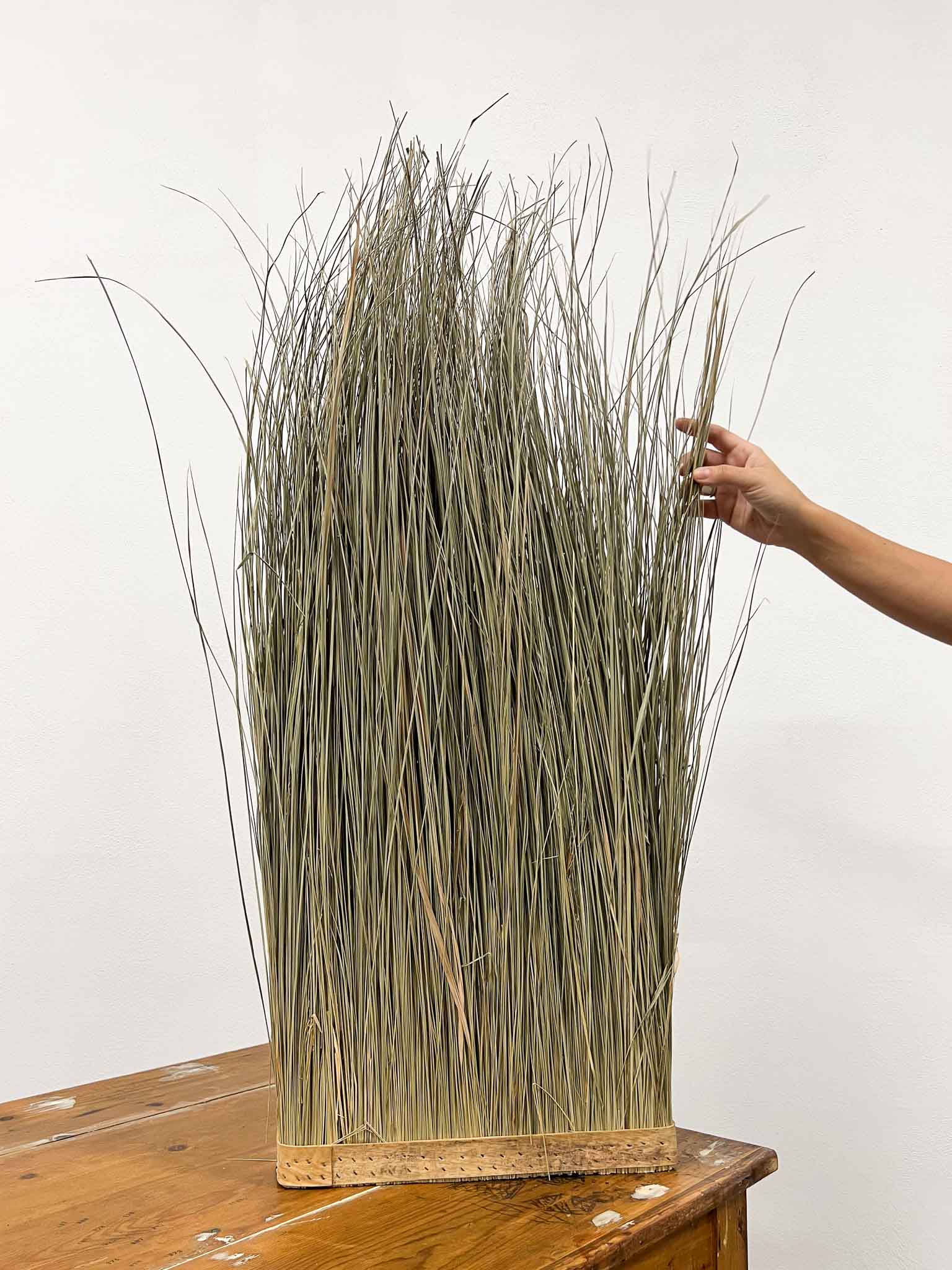 CALLIOPE » Vertical wall of natural dried grass, 100 cm