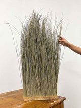 CALLIOPE » Vertical wall of natural dried grass, 100 cm